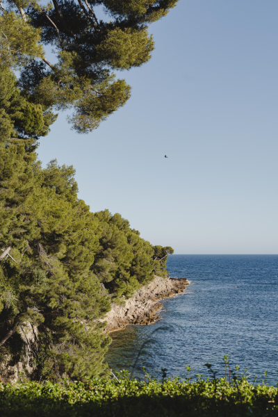 Saint-Jean-Cap-Ferrat thumbnail