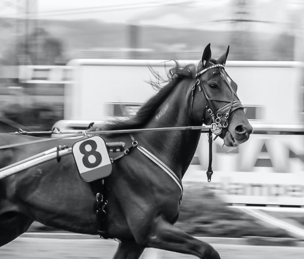 St-George’s Hill thumbnail